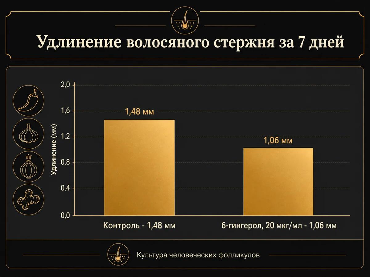 Диаграмма: волос в культуре с 6-гингеролом удлинился на 1,06 мм против 1,48 мм в контроле