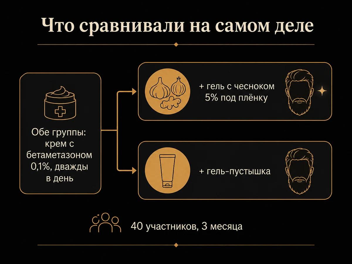 Схема исследования чеснока: обе группы получали крем с бетаметазоном, чеснок был добавкой