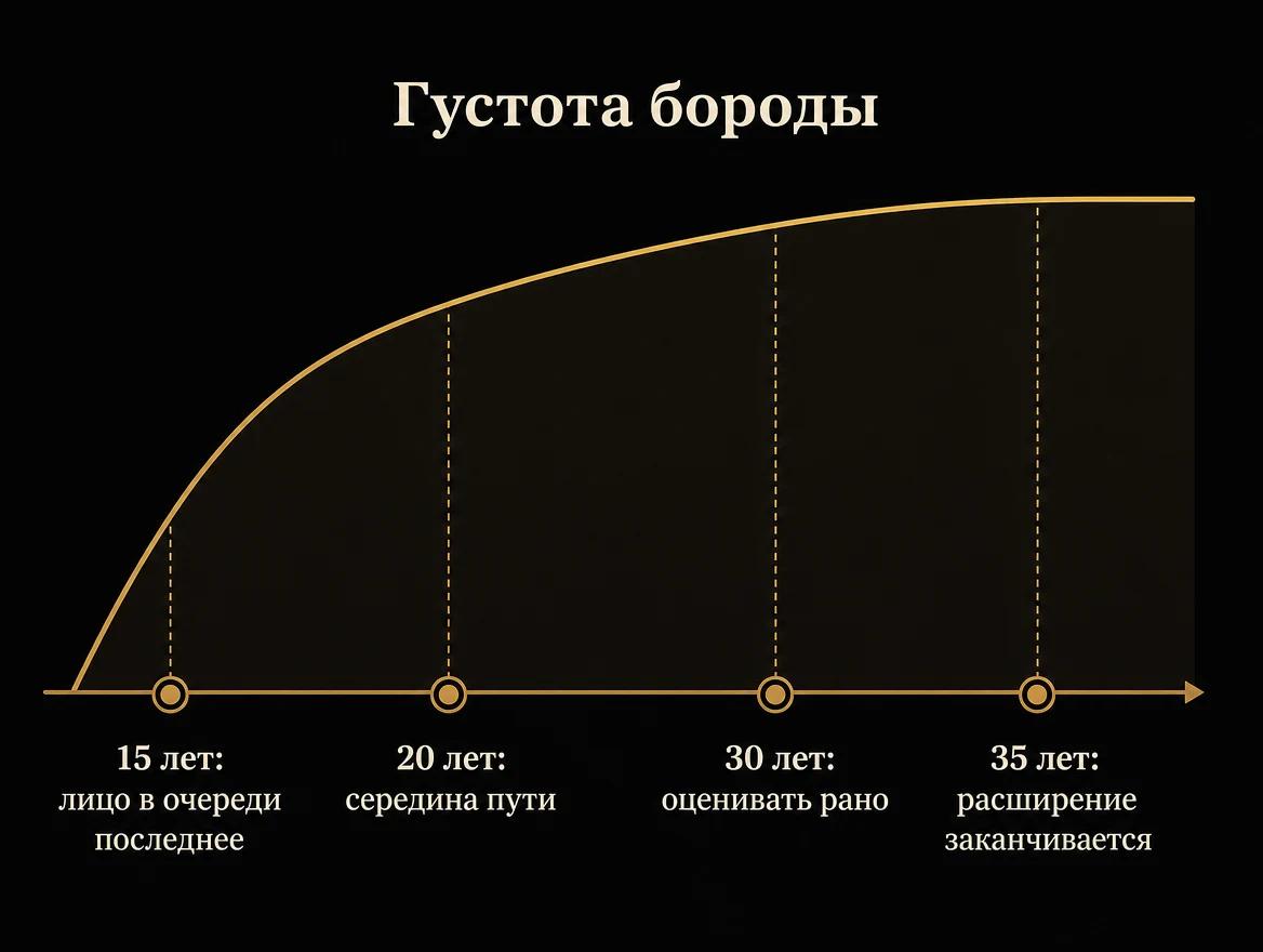 Возрастная шкала роста бороды: крутой подъём в пубертате и плато после 35 лет