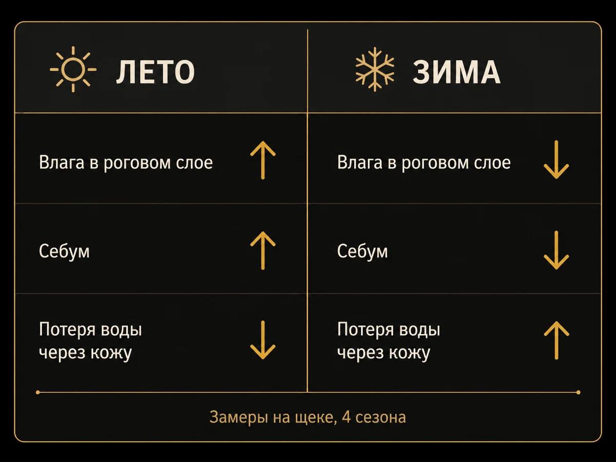 Схема сравнения кожи щеки летом и зимой: влага, себум и потеря воды через кожу