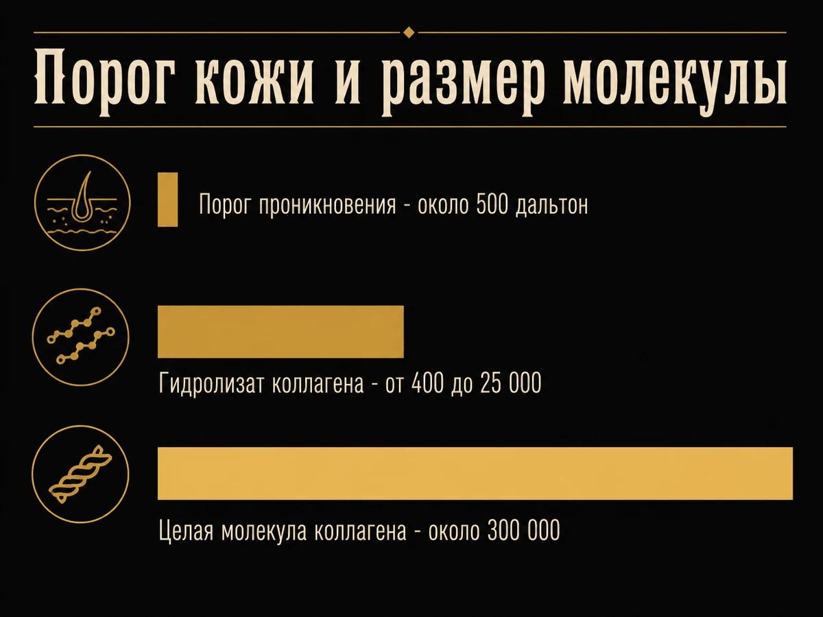 Шкала масс: порог проникновения кожи 500 дальтон против молекулы коллагена 300 000