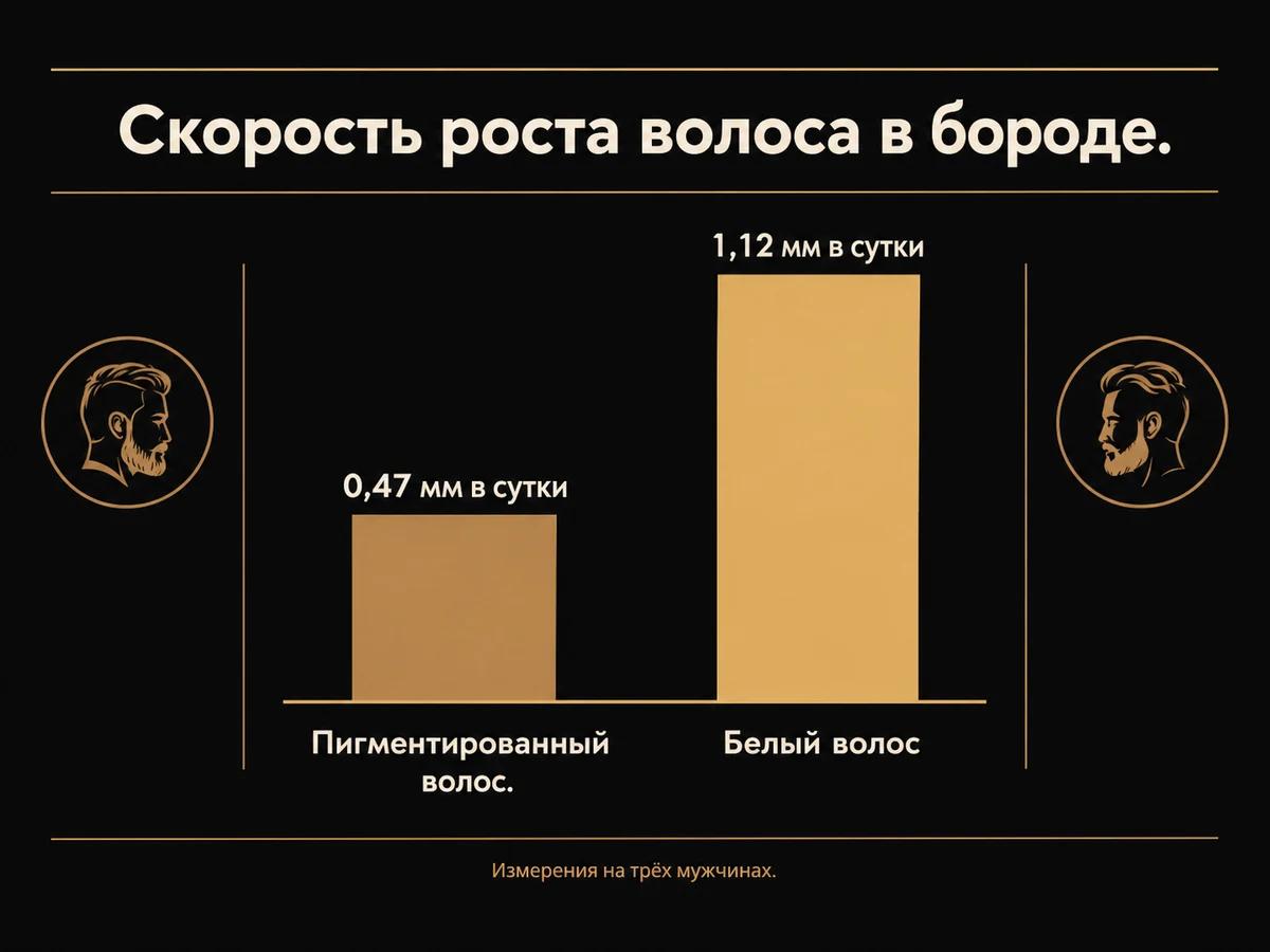 Столбиковая схема: белый волос в бороде растёт быстрее пигментированного