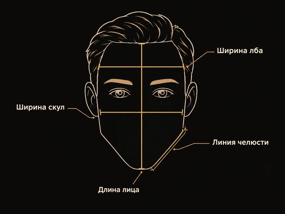 Контур лица с четырьмя линиями замеров: длина лица, ширина лба, ширина скул и линия челюсти