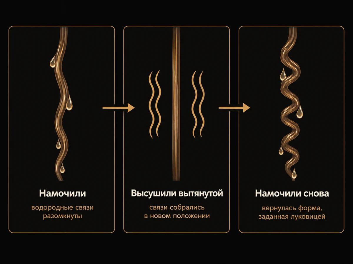 Схема: вода размыкает водородные связи, сушка вытянутой выпрямляет волос, новая вода возвращает завиток