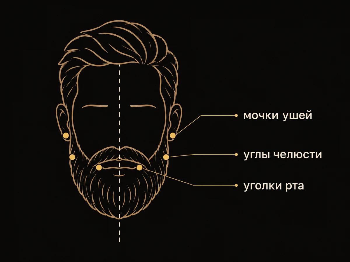 Схема лица с бородой: парные ориентиры у мочек ушей, углов челюсти и уголков рта по обе стороны от средней линии
