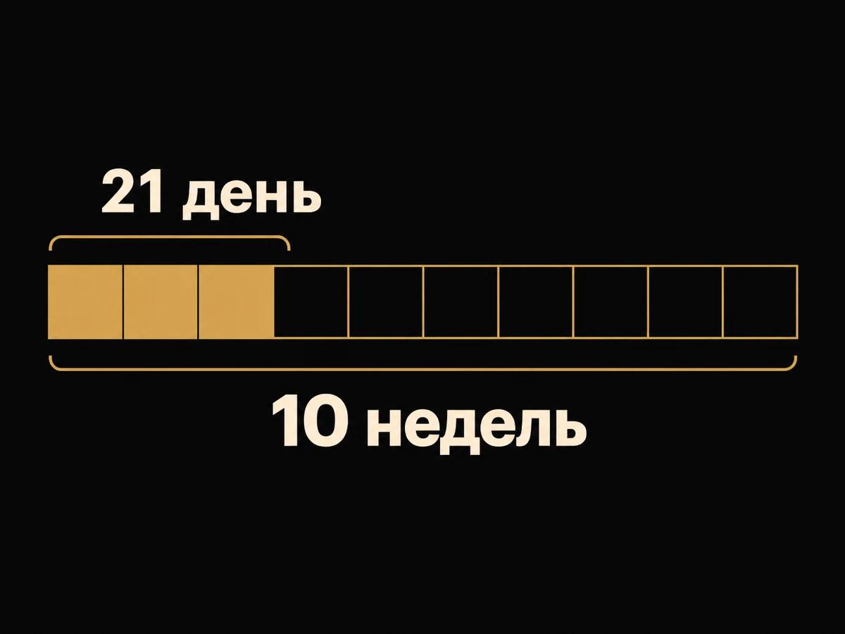 Полоса из десяти равных частей, закрашены первые три: 21 день из 10 недель