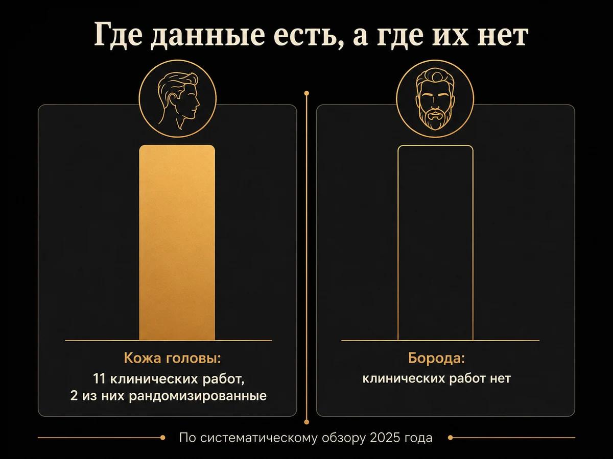 Сравнение: по коже головы 11 клинических работ и 2 рандомизированных, по бороде клинических работ нет