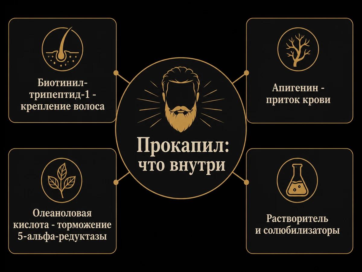 Схема состава комплекса прокапил: три действующих вещества и носитель