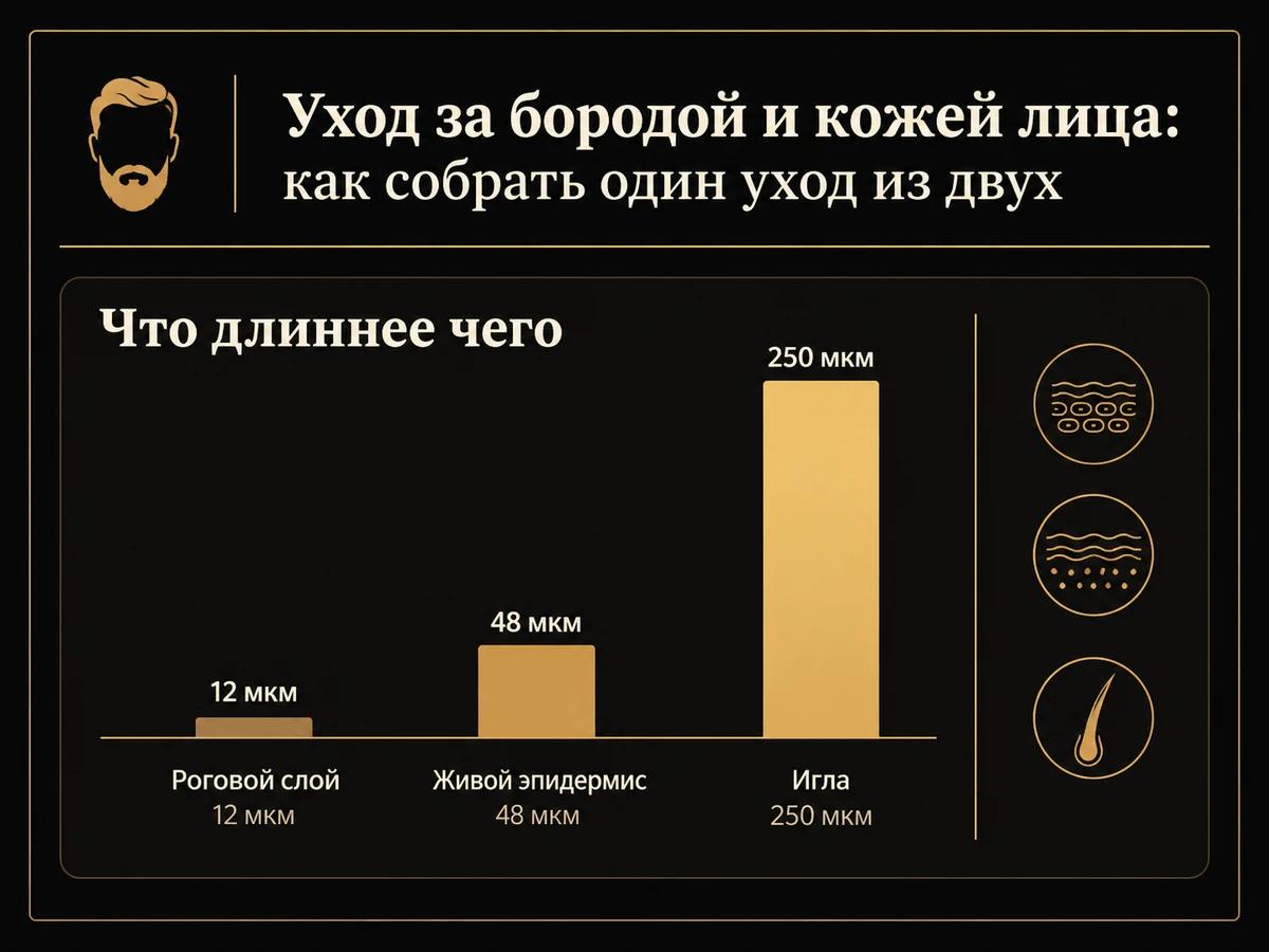 Схема: игла 250 мкм против рогового слоя 12 мкм и эпидермиса 48 мкм